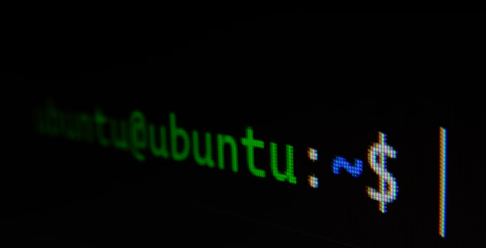 사이트 백업 명령어